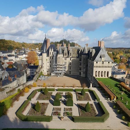 Domaine De Bourgville Monts-sur-Guesnes Экстерьер фото
