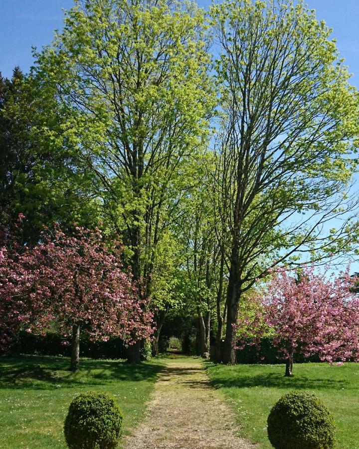 Domaine De Bourgville Monts-sur-Guesnes Экстерьер фото